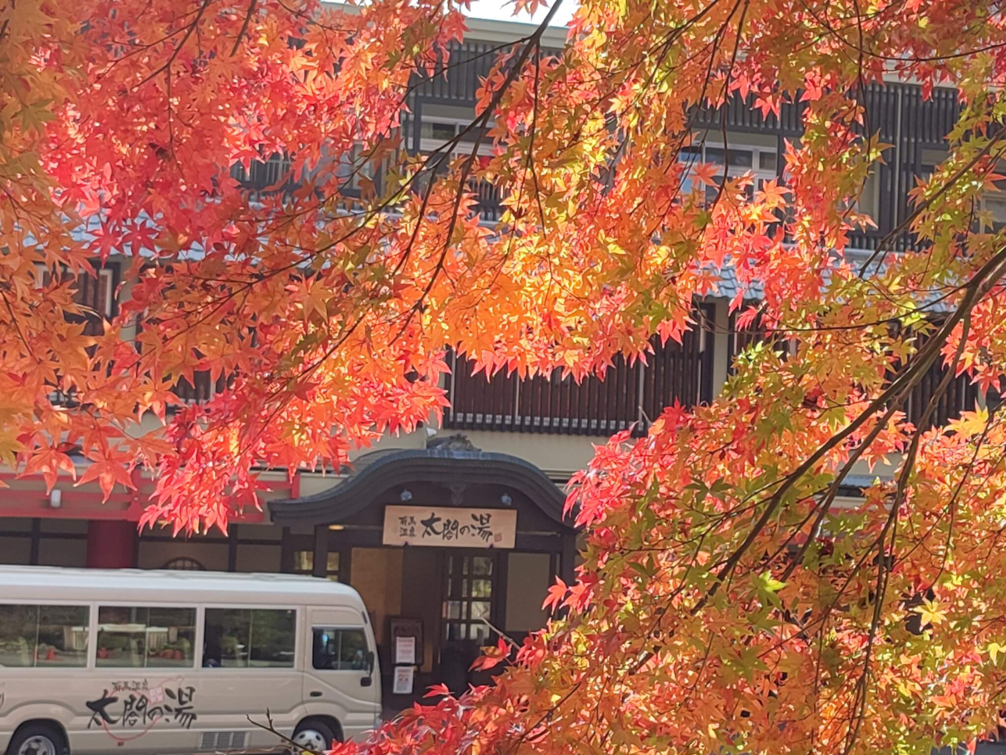 湯紅葉 紅葉通信Part5 ～見頃～ - 太閤の湯